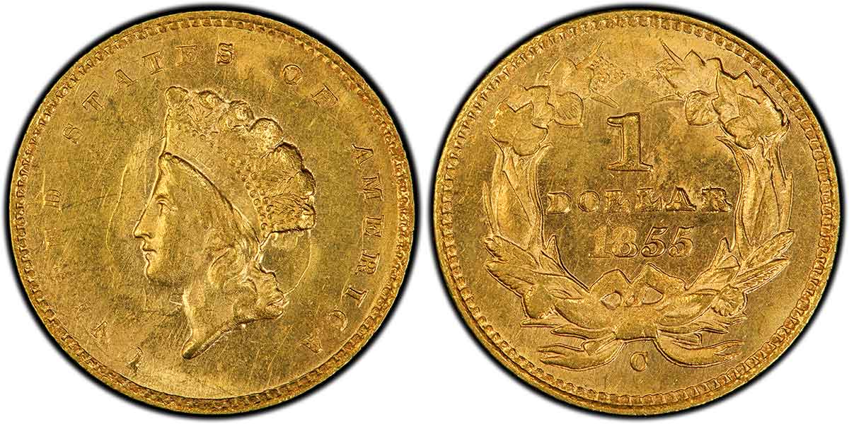 Charlotte Gold Coins