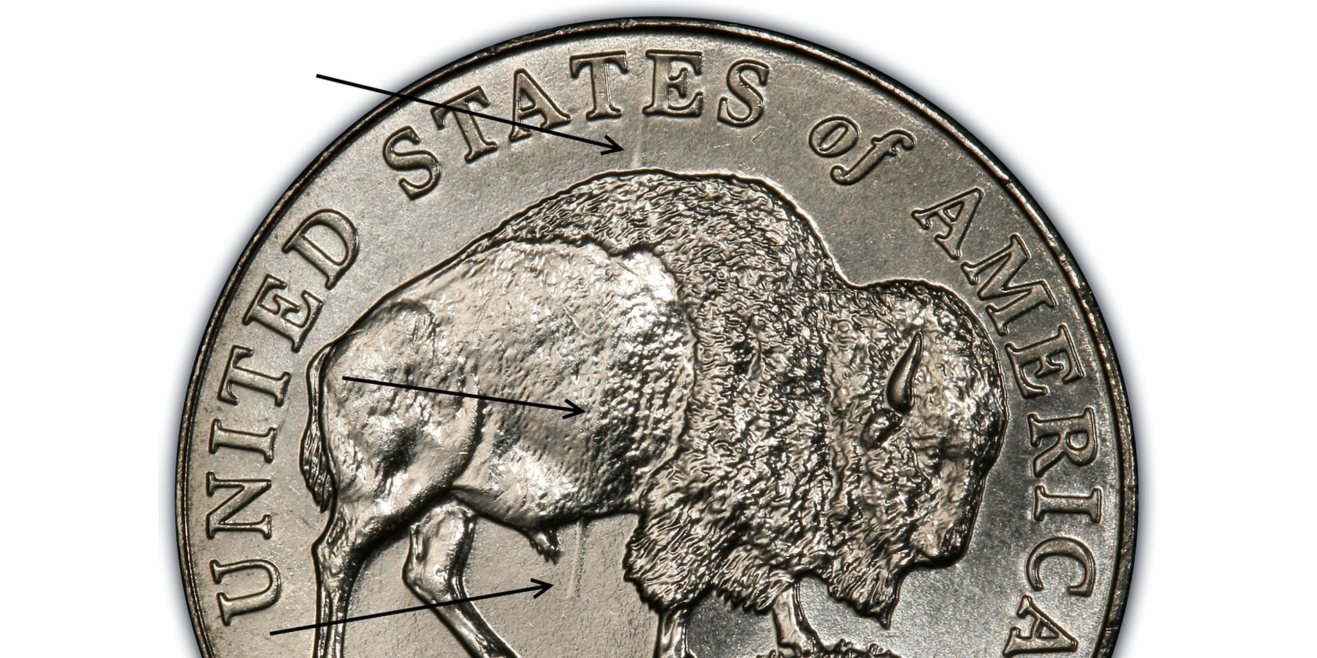 How Did the 2005-D Speared Bison Nickel Come to Be?