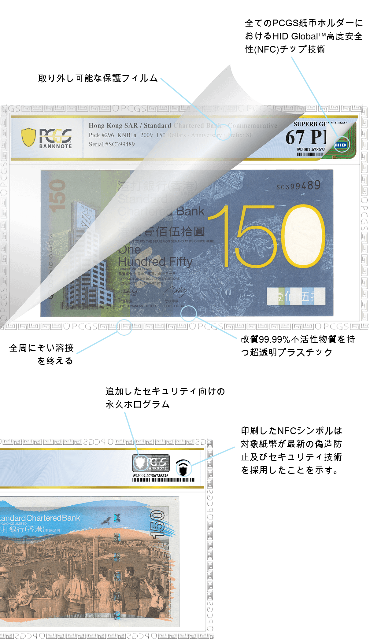 PCGS banknote holder anatomy descriptions